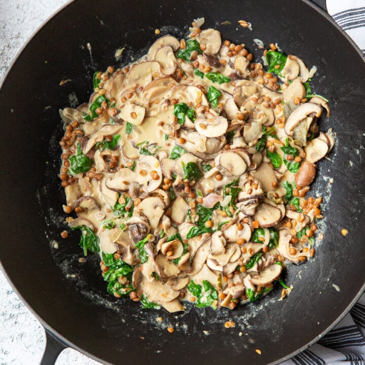 Pilz-Ragout mit Linsen - Madame Cuisine