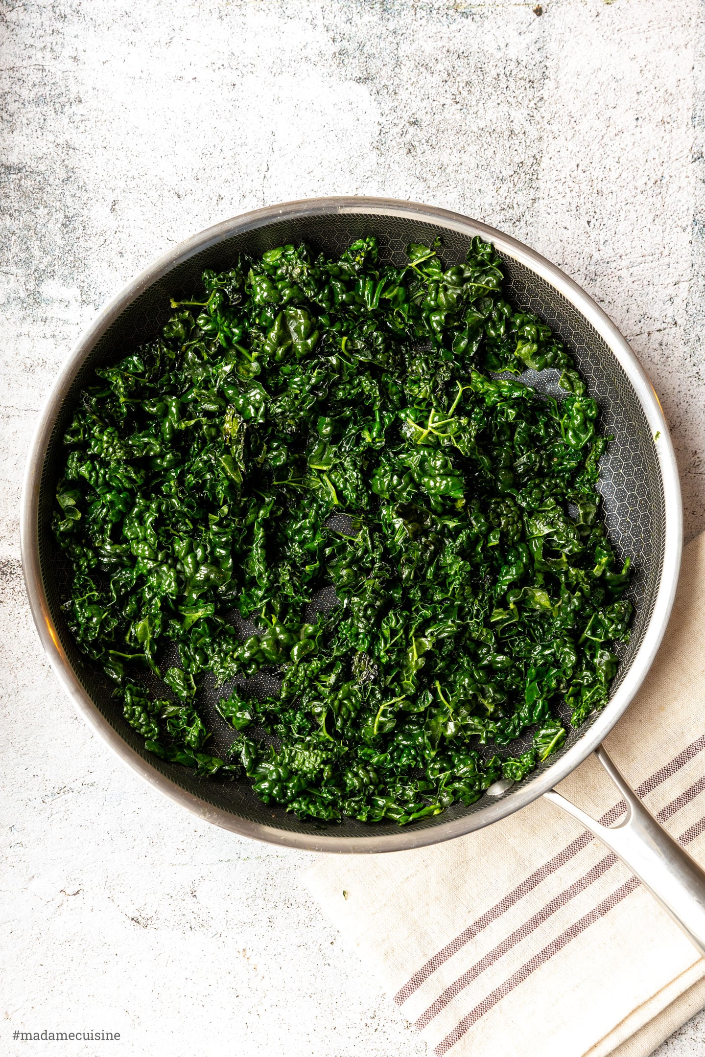 Cavolo nero - Schwarzkohl