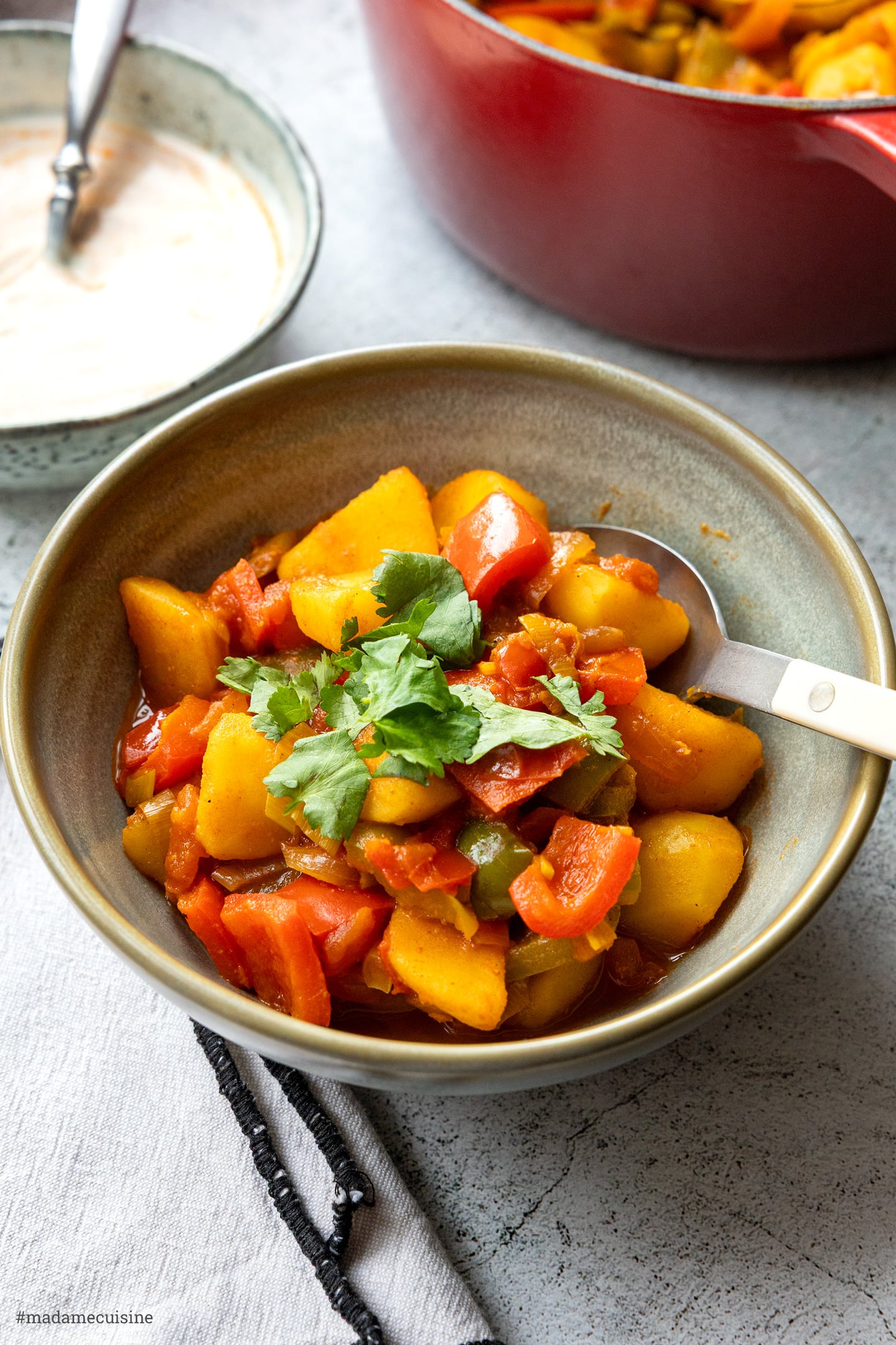 Vegetarisches Kartoffelcurry mit Paprika und Koriander in einer Schale, im Hintergrund der Topf